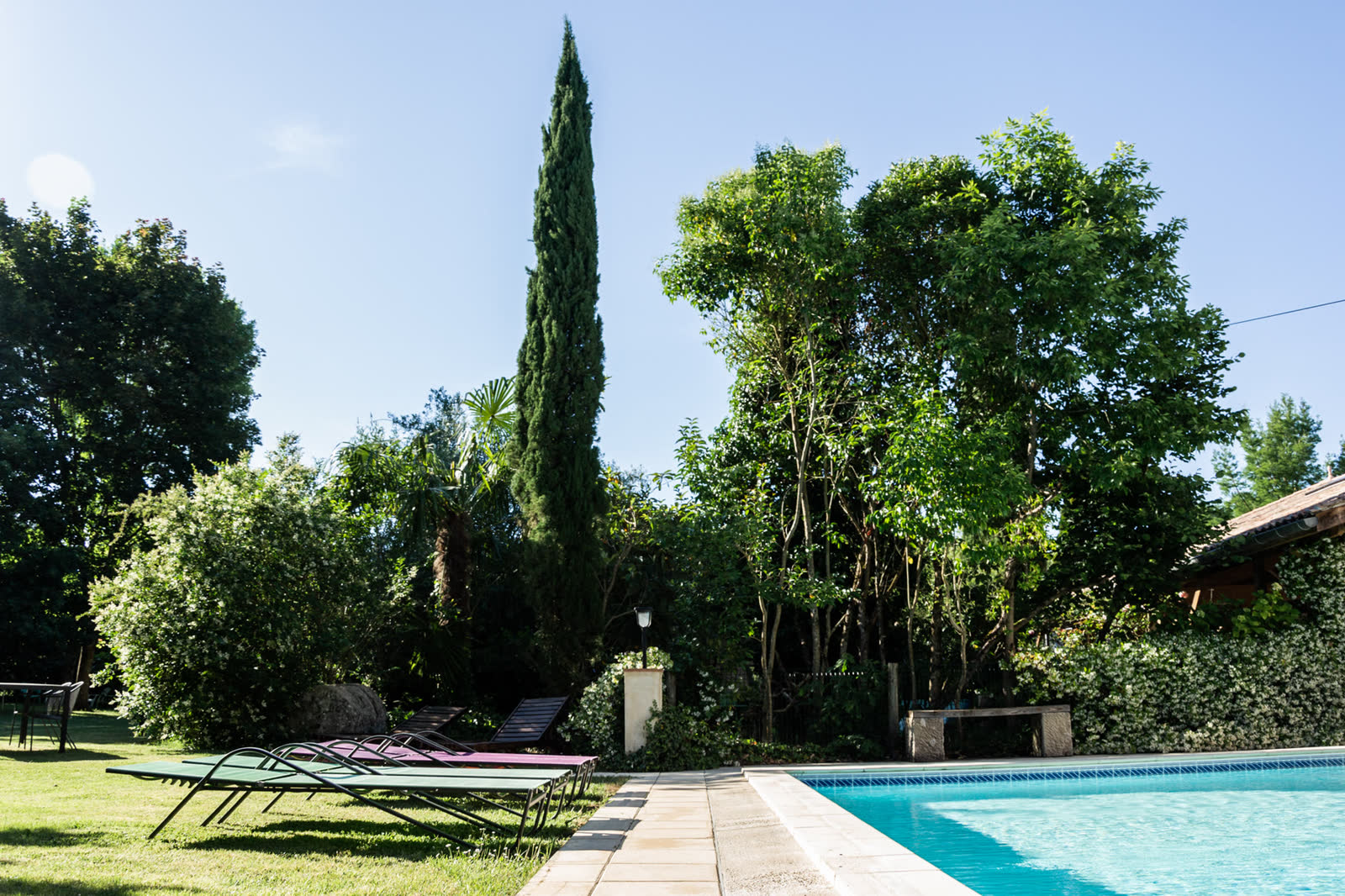 La piscine entre le cyprès et les arbres du parc
