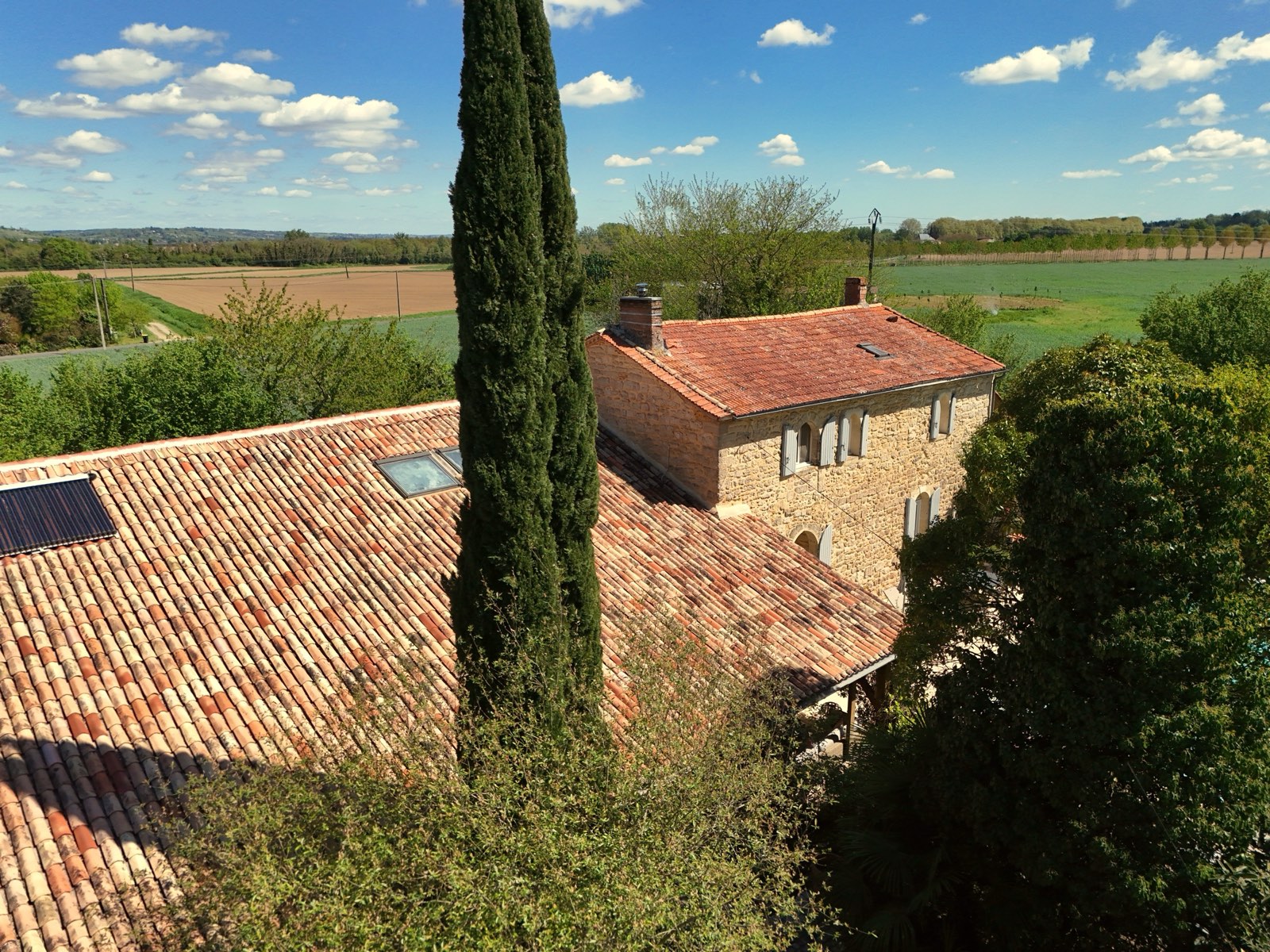 Le cyprès, les toits du moulin et les champs de l'Entre-deux-Mers