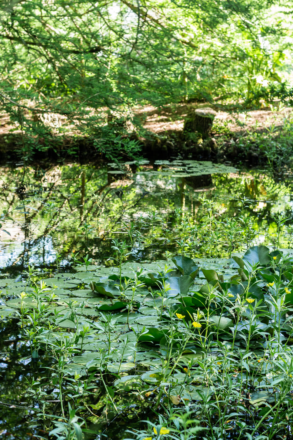 La Roulotte, photo 6